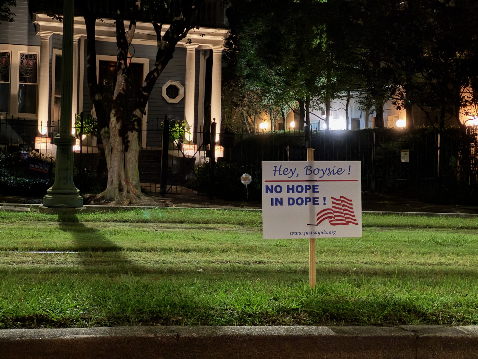 7500 block St. Charles neutral ground—July 14, 2025